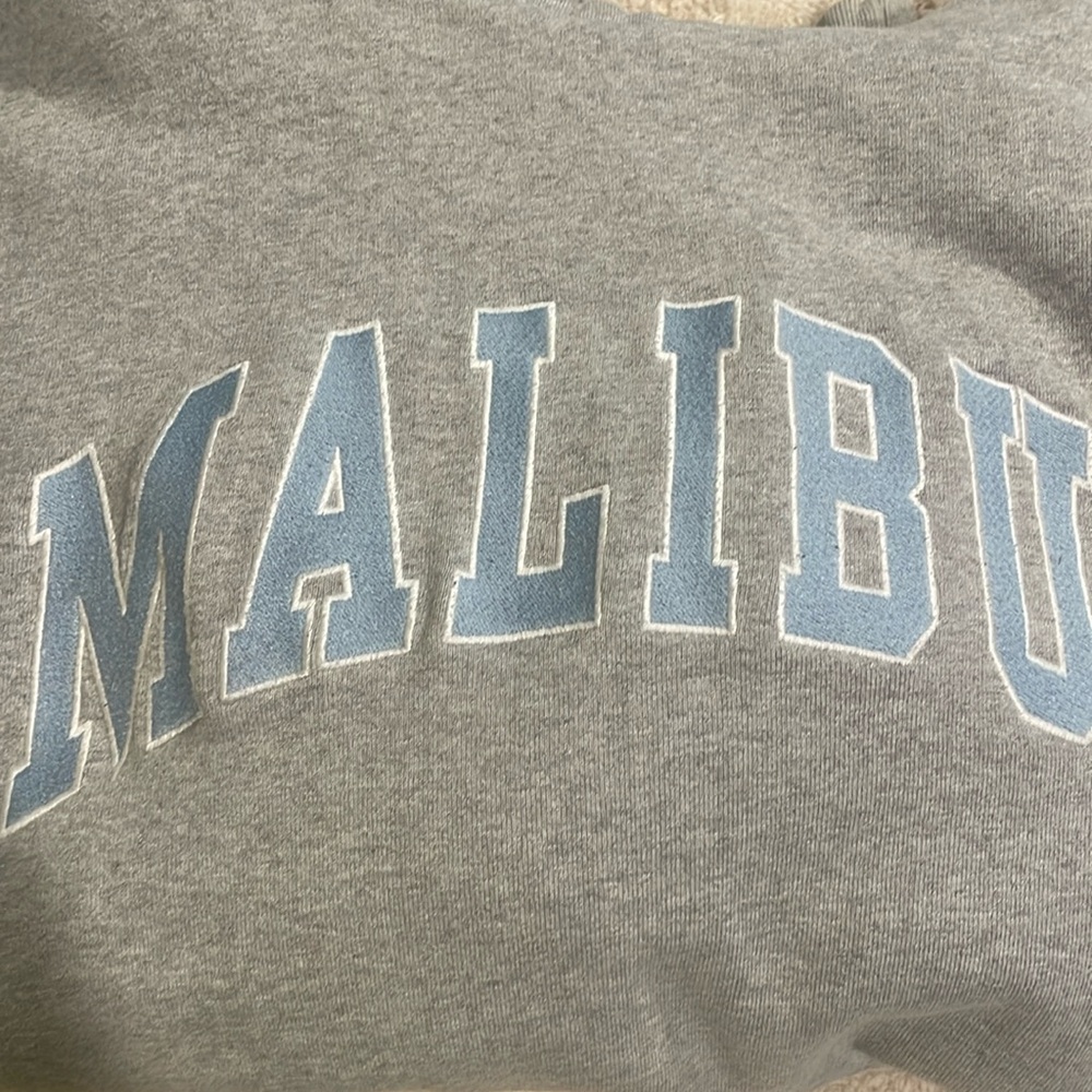 Brandy Melville Malibu hoodie